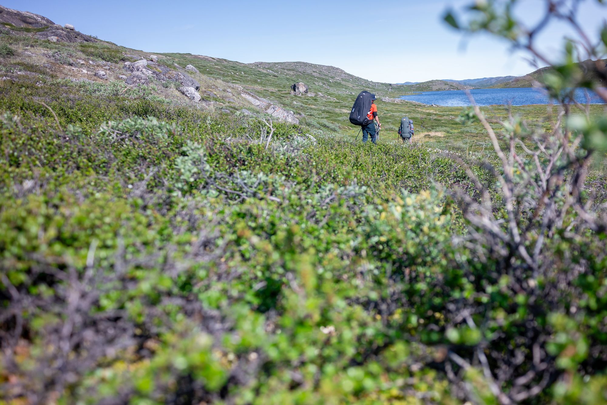 Arctic Circle Trail: rozlehlou divočinou Grónska