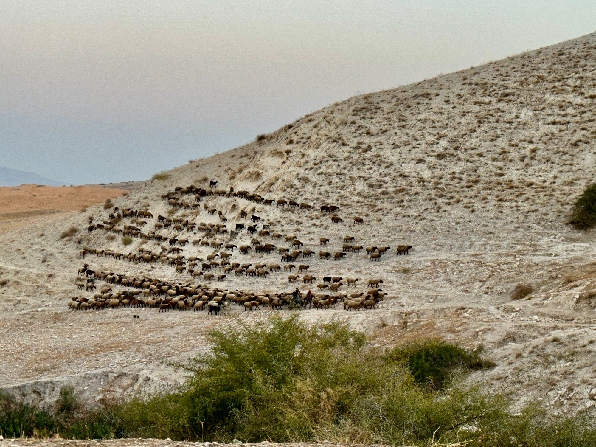 image10-49.png